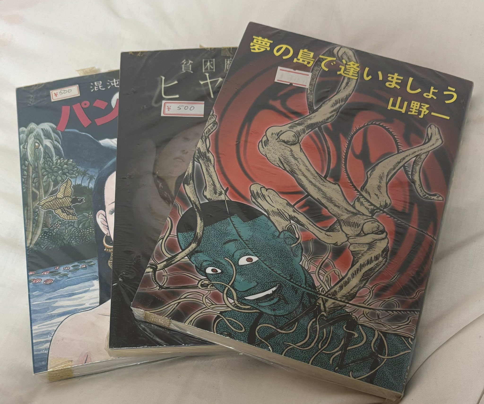 オリジナル版初版】 混沌大陸パンゲア 山野一 混沌大陸パンゲア | 山野