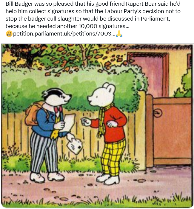 Amelea Teckel tweet media