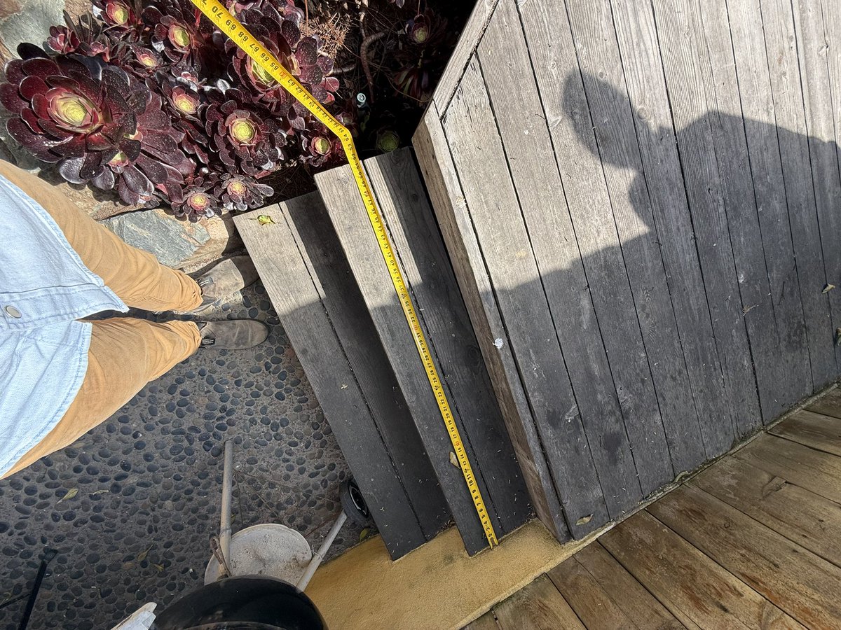 jameson (big deck energy) tweet media