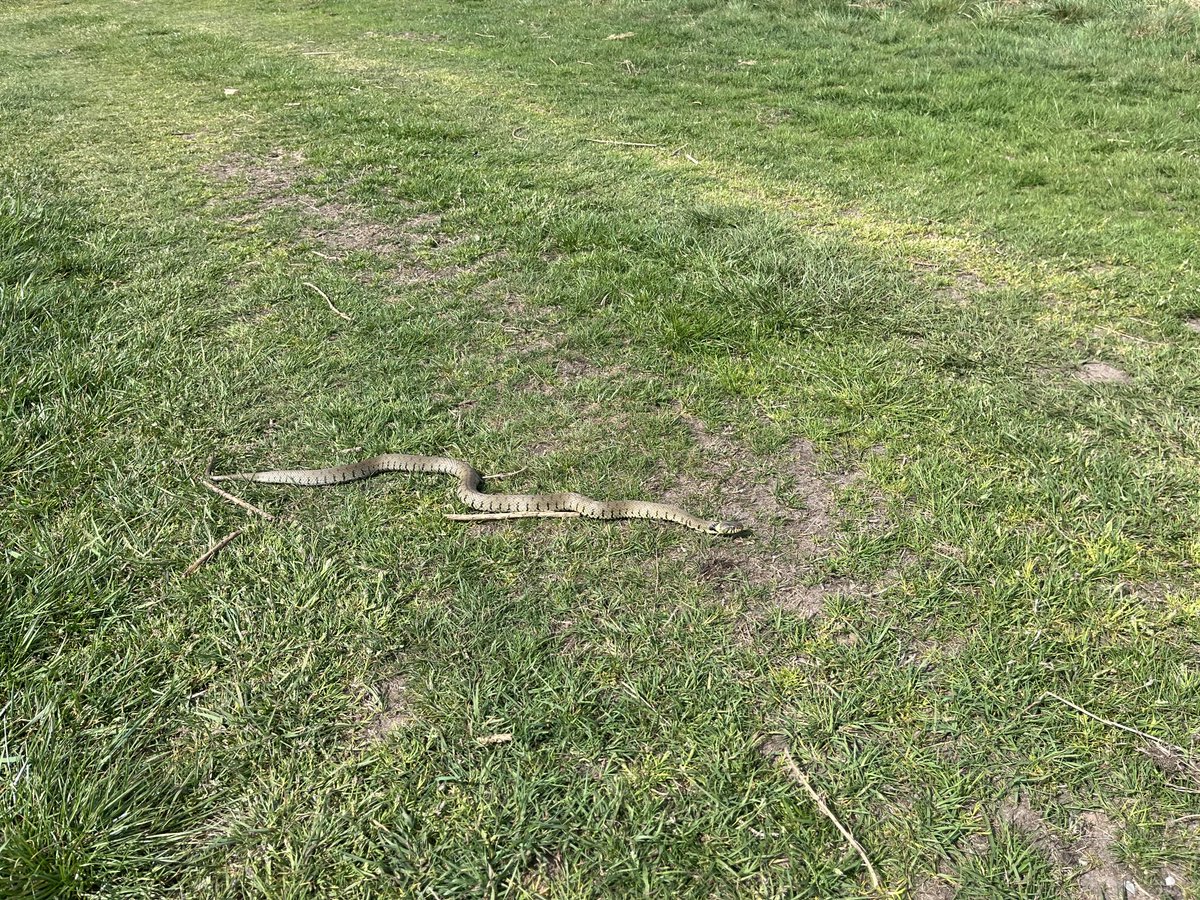 Andrew Williamson tweet media