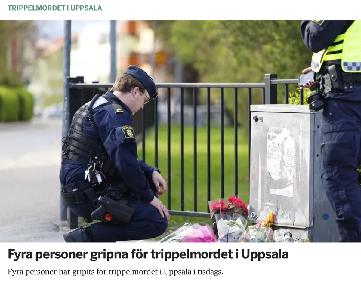 1/ Sverige håller på att glida över kanten.
Vi står inför ett haveri som handlar om kriminalitet, islamism, klanvälde och en växande generation unga män utan framtid. Vill du ha lösningar? Här är en besk medicin – inte för de känsliga. Vi har prövat naivitet i 30 år. Nu behövs