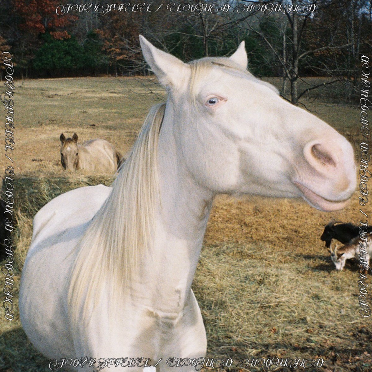 2 new songs with joypill out now! loverboy / shy. full EP coming in June. peace and love