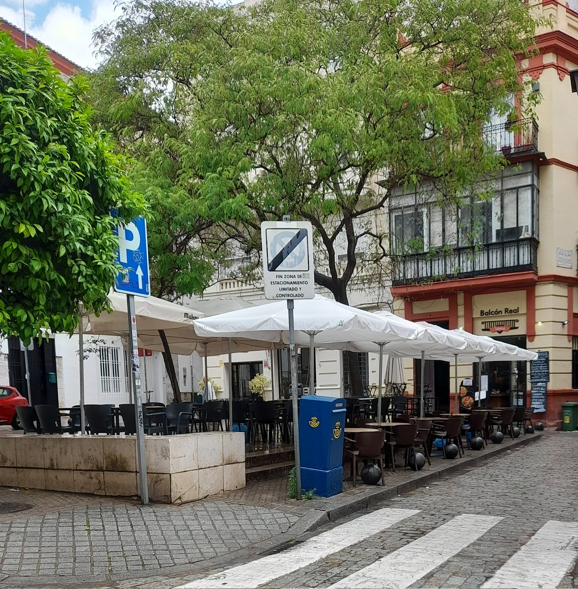 rapidohuyelejos's tweet photo. El estableciendo Balcón Real sigue ocupando plaza y acera por toda la cara. 
Yo sigo buscando su licencia en la app de la GMU y que sorpresa...NO está.
@Sevilla_Dor @SevillaSeMuere https://t.co/jI5H7dJ3DN
