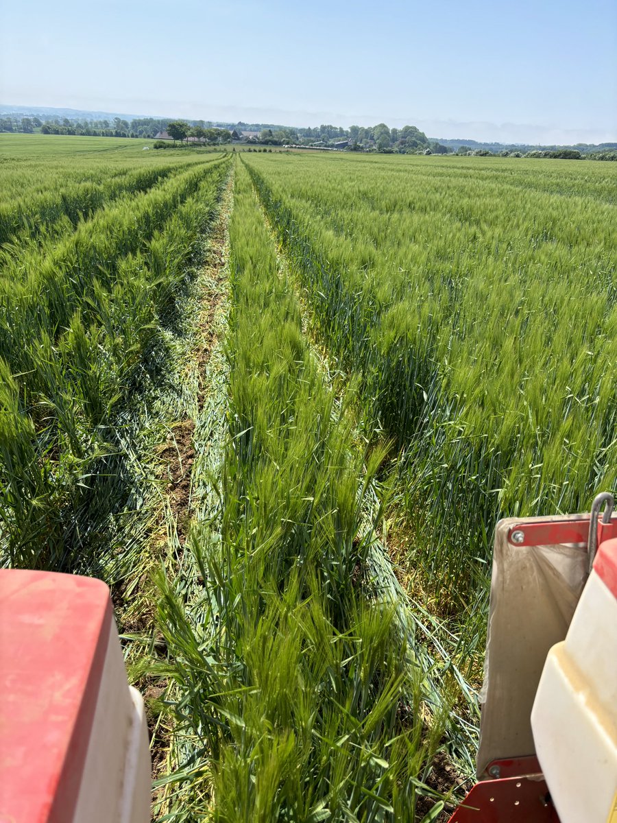 Delaporte Alaferme tweet media