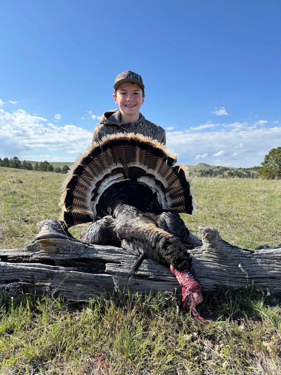 WhittyMo540 tweet media