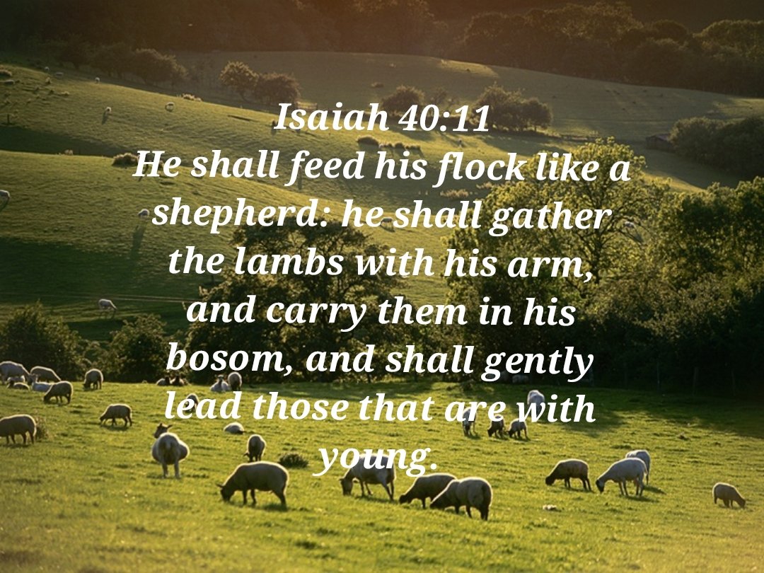 Paula F 🙏 (@mamaw1521) on Twitter photo 