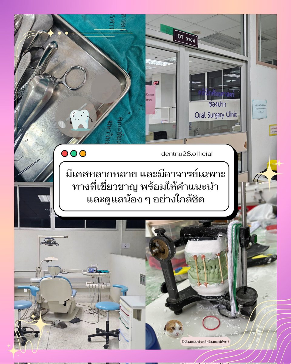 DentNU28.official tweet media