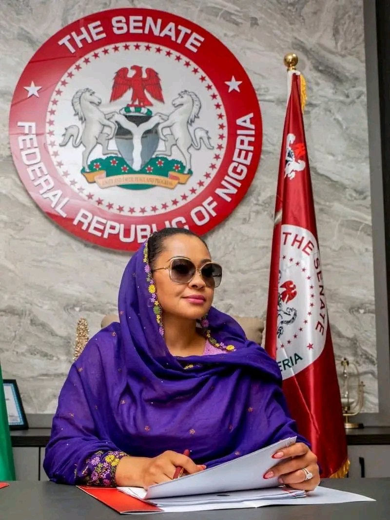 “Natasha Akpoti told me she had no evidence to prove the sexual harassment allegation. She told me she had paid Oby Ezekwesilli, Arise TV, Dr. Abiola and FIDA, all of whom she called useful idiots, to flip the issue to sexual harassment.” Prof. Mgbeke