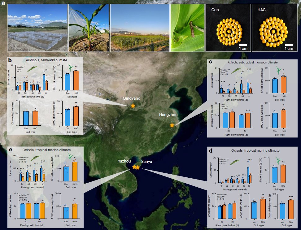 Matthias Erb (@matthias__erb) on Twitter photo Pretty crazy stuff. Stress volatiles trigger root responses, which reprogram the soil microbiome and thereby enhance resistanc of the next plant generation. The study is now out in <a href="/NaturePlants/">Nature Plants</a> . Link in the replies. Pretty crazy stuff. Stress volatiles trigger root responses, which reprogram the soil microbiome and thereby enhance resistanc of the next plant generation. The study is now out in <a href="/NaturePlants/">Nature Plants</a> . Link in the replies.
