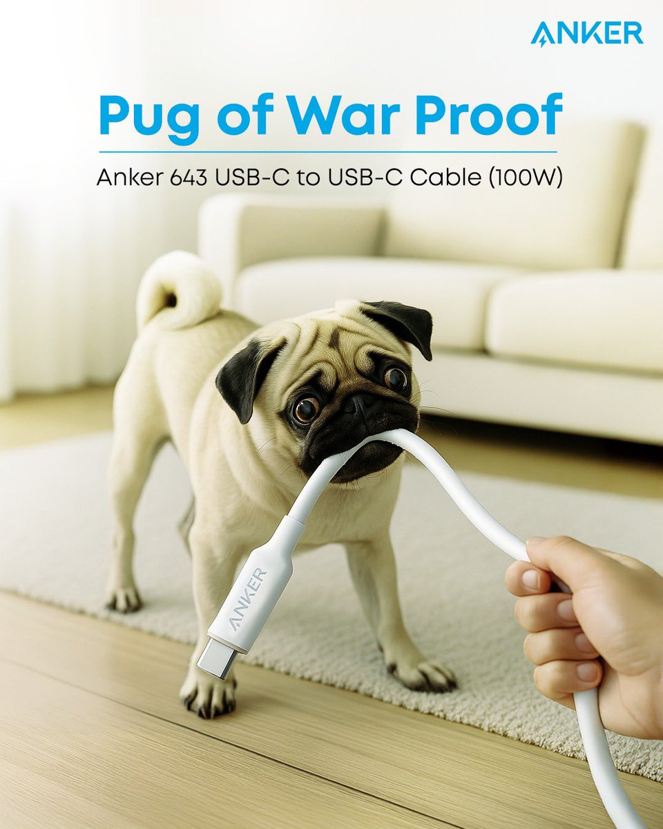 IndiaAnker's tweet image. Anker 643 USB-C to USB-C 100W Cable has more bite than bark.

Get up to 70% off discount on select Anker and soundcore products when you shop from the Amazon Great Summer Sale

#Anker #USBCable #GreatSummerSale