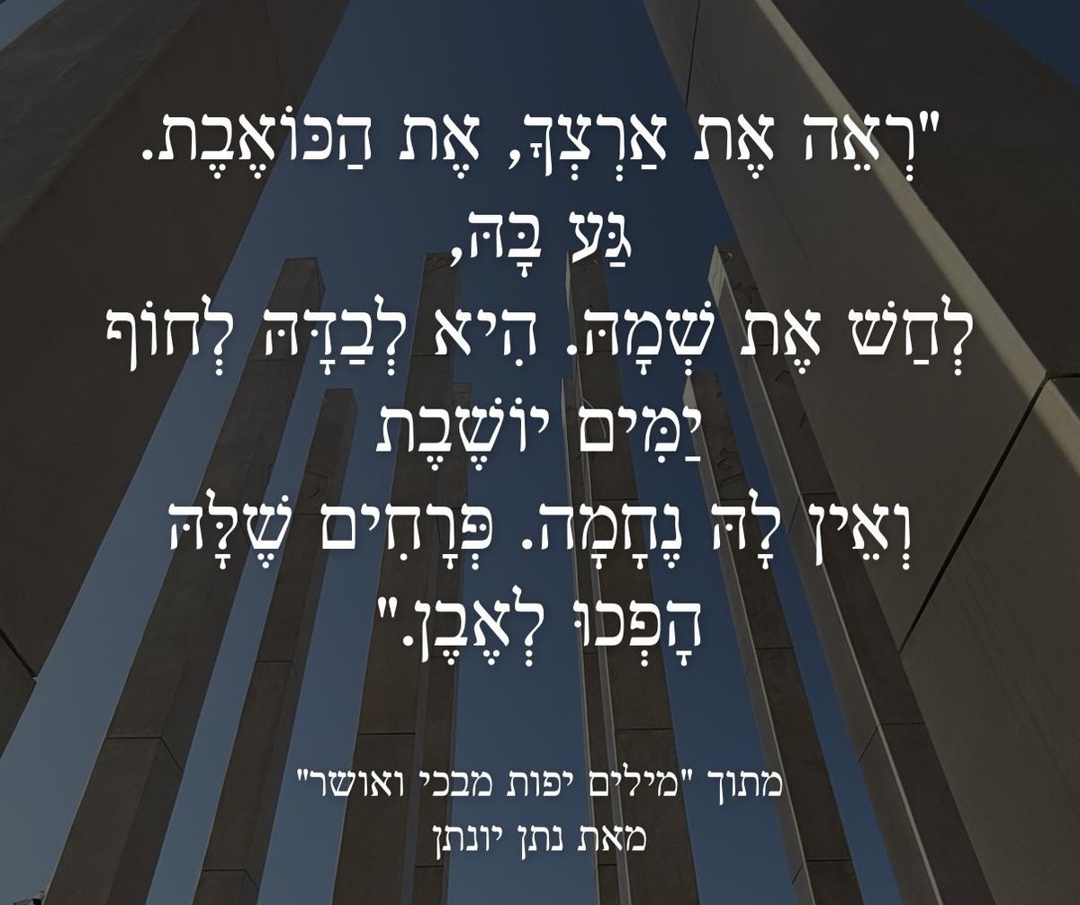 Eyneny1's tweet image. שואל עדיין
שואל מאין
כן, מאין כוחות לשאוב.