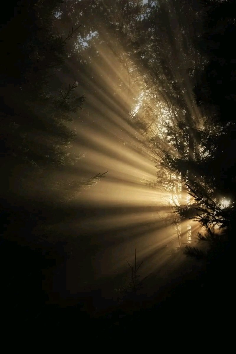 ☀️ Segen 🕊

Gott, 
segne uns mit deinen Gaben,
die wir empfangen und weitergeben.

Füge alles zusammen, 
was jede und jeder Einzelne beiträgt, damit wir als deine Kinder wahrgenommen werden.

Dein Segen stille unseren Hunger nach Leben. 

Amen.🙏🏻