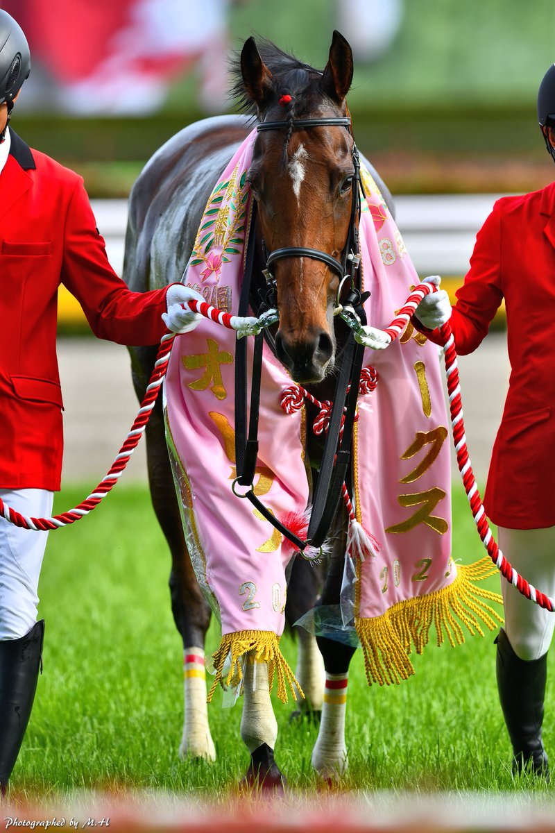 Horse Memorys (@horse_memorys) / Posts / X