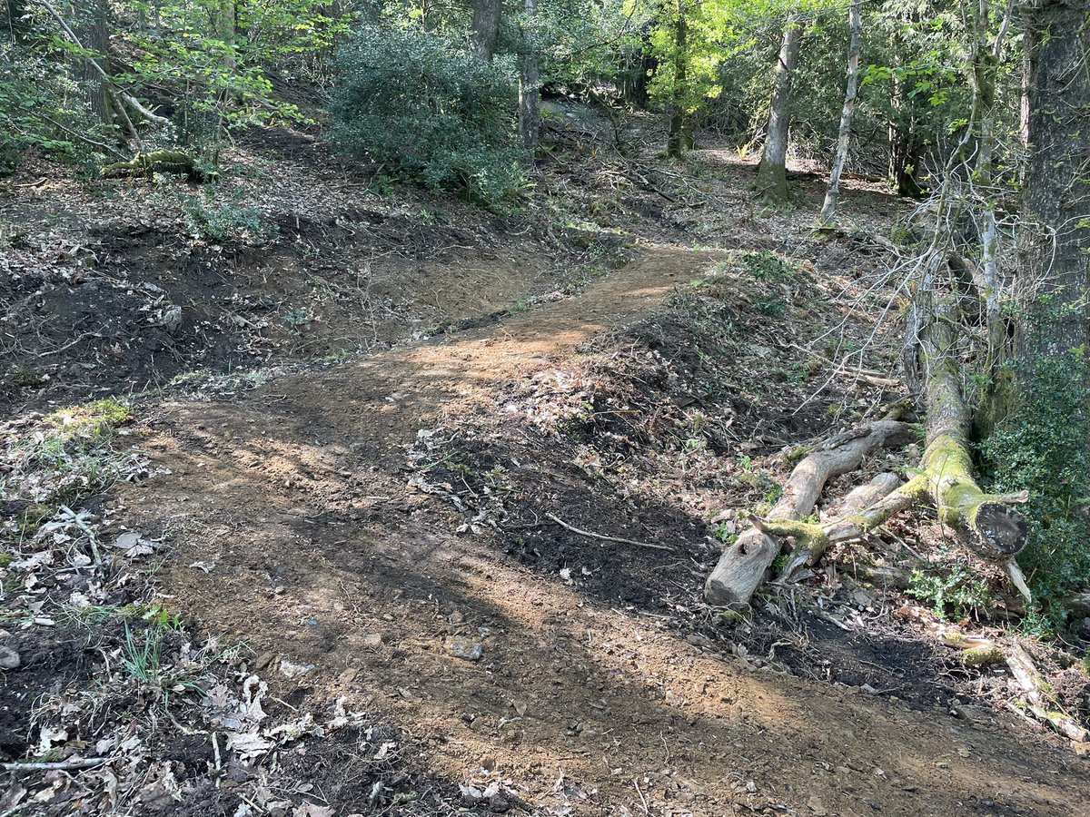 Path building in the woods with the mighty Doosan. In South Lakes. <a href="/LakesRangers/">Lakes Rangers</a> #LakeDistrict