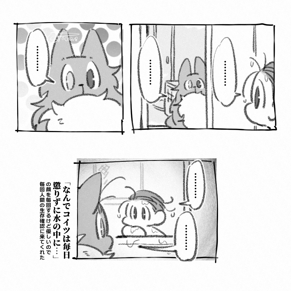 ワッフル(ねこ) 