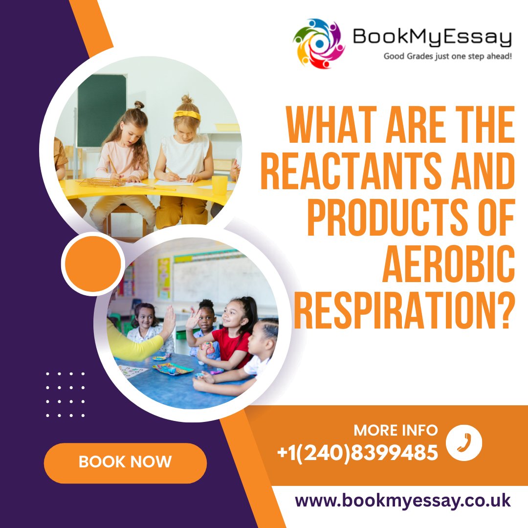 Book_My_Essay's tweet image. Unlock the secrets of aerobic respiration with BookMyEssay! 🌿✨ Learn reactants &amp;amp; products today. 

Read More - bookmyessay.co.uk/blog/what-are-…

#BiologyHelp #StudySmart #BookMyEssay
