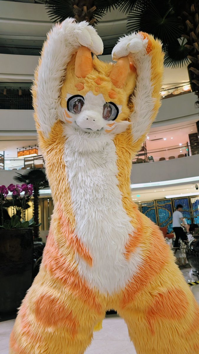黑椒菊花茶 (@chahualoong) on Twitter photo #FursuitFriday
小小的爪比出大大的心❤️
📷:是可爱的丹波<a href="/Fallkui/">丹波( Dumbo ) & 秋葵( Fallkui ) 🔜 UTFG 2025 ! 🌟</a>
喜欢喜欢喜欢!好多年前刚喜欢furry的时候就喜欢丹波老师了!追星大成功😭 #FursuitFriday
小小的爪比出大大的心❤️
📷:是可爱的丹波<a href="/Fallkui/">丹波( Dumbo ) & 秋葵( Fallkui ) 🔜 UTFG 2025 ! 🌟</a>
喜欢喜欢喜欢!好多年前刚喜欢furry的时候就喜欢丹波老师了!追星大成功😭