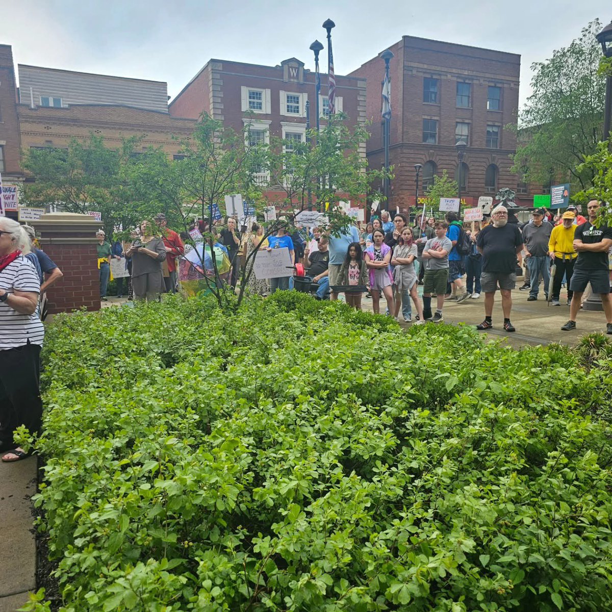 Shrewsbury for U.S. Senate tweet media