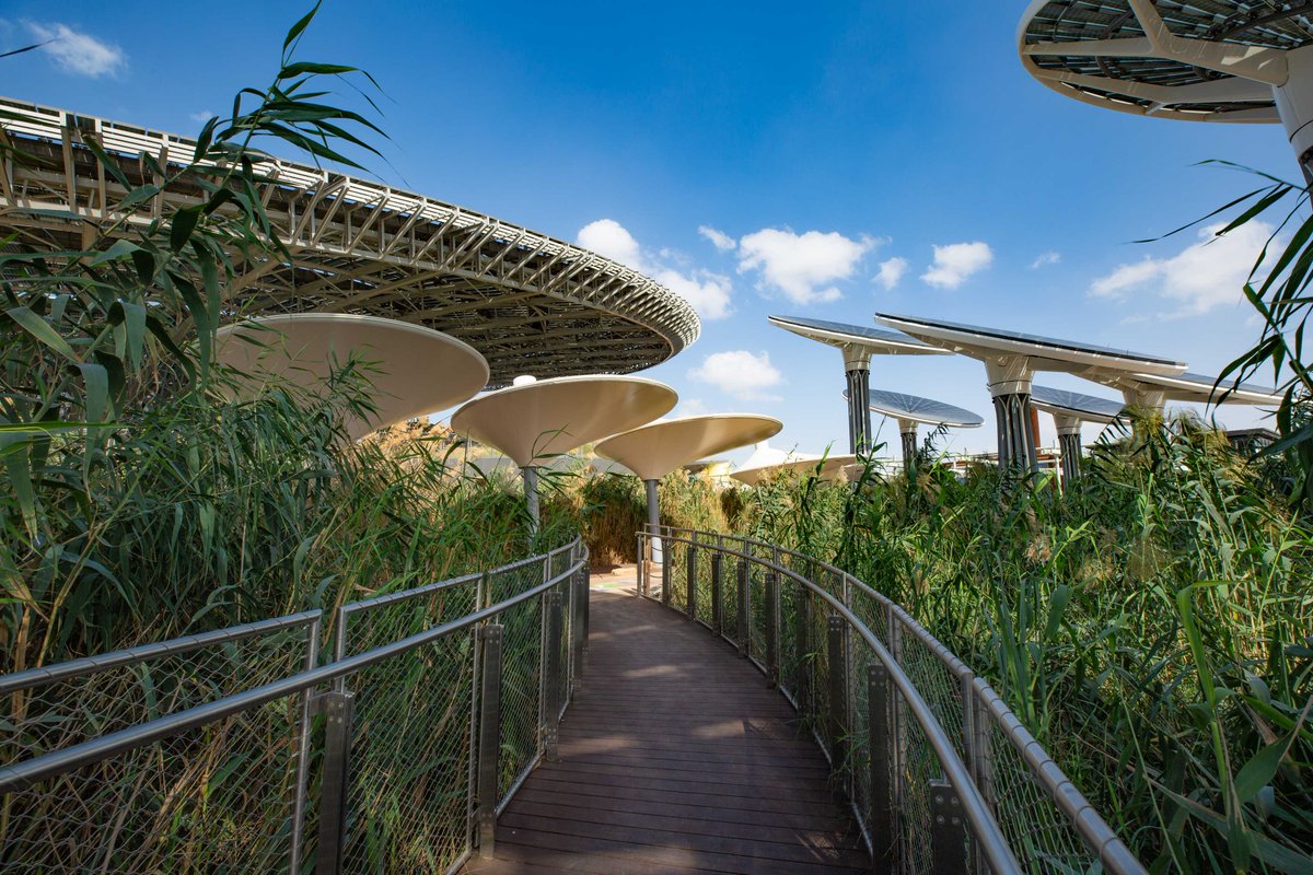 🌍 Entries now open for the 2025 World Sustainable Travel &amp; Hospitality Awards! 30 categories celebrating changemakers in #SustainableTourism &amp; #NetPositiveHospitality 🌱
📅 Enter FREE by 30 June
🏆 Gala: 29 Oct, Expo City Dubai
🔗sustainablehospitalityalliance.org/2025-world-sus…
#WSTHAwards