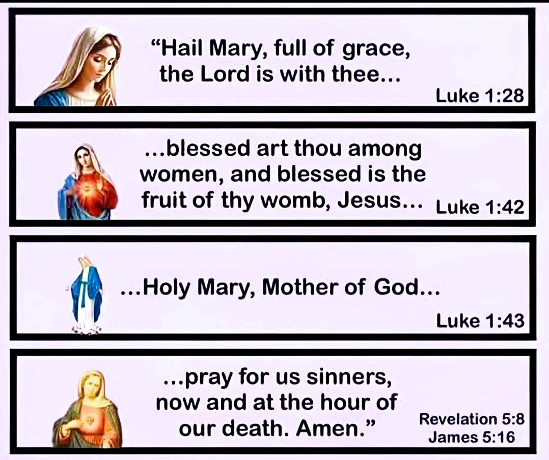 OSB🌹Röm. Kath.✝️🌹🇻🇦⚓ (@nadaliawieser) on Twitter photo 