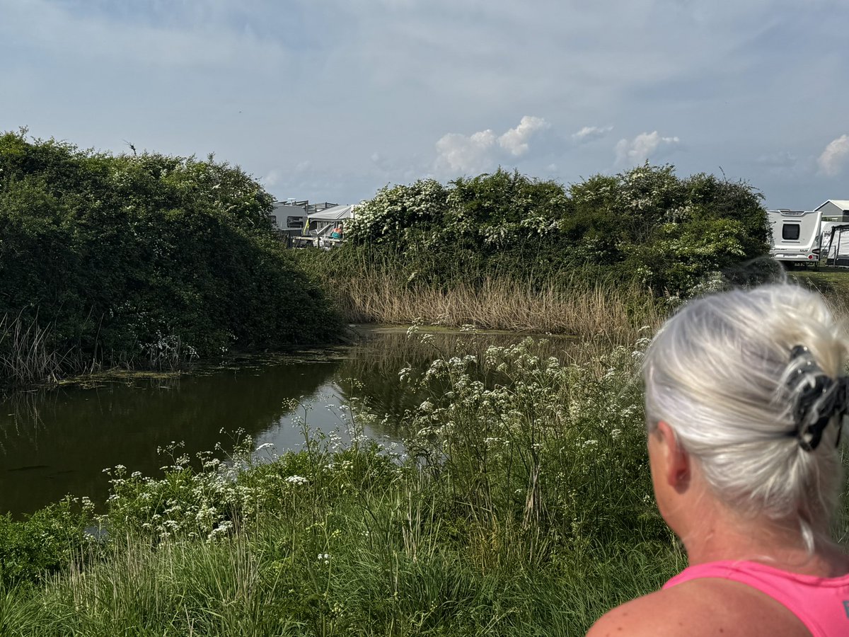 Epic stay <a href="/diamondfarmhp/">Diamond Farm Holiday Parks</a> - couldn’t ask for more ❤️