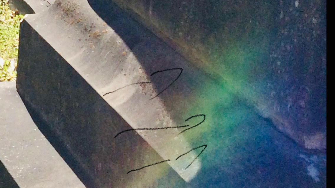 #ITC is my preferred means of documenting #paranormal phenomena, but I’ve captured a few interesting photos over the years. 

Pareidolia can offer factor into so-called photos of ghosts, but I’m inclined to believe that these are legitimate.

 I was inspired to dig into my