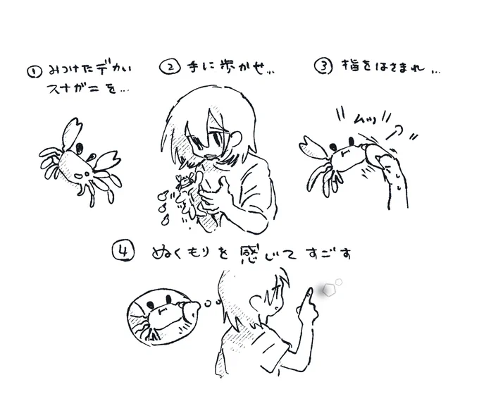 カニレポート 