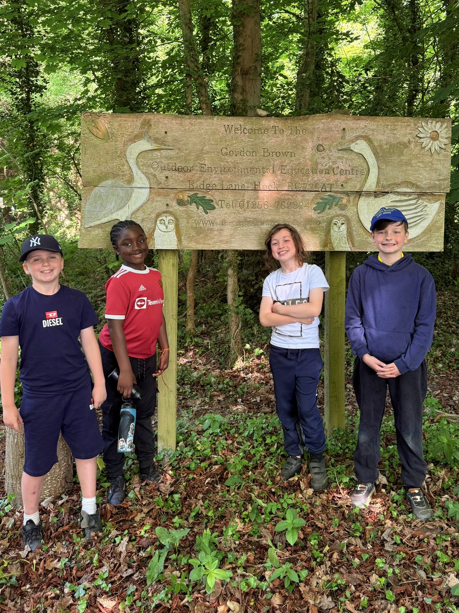 St. Joseph's tweet media