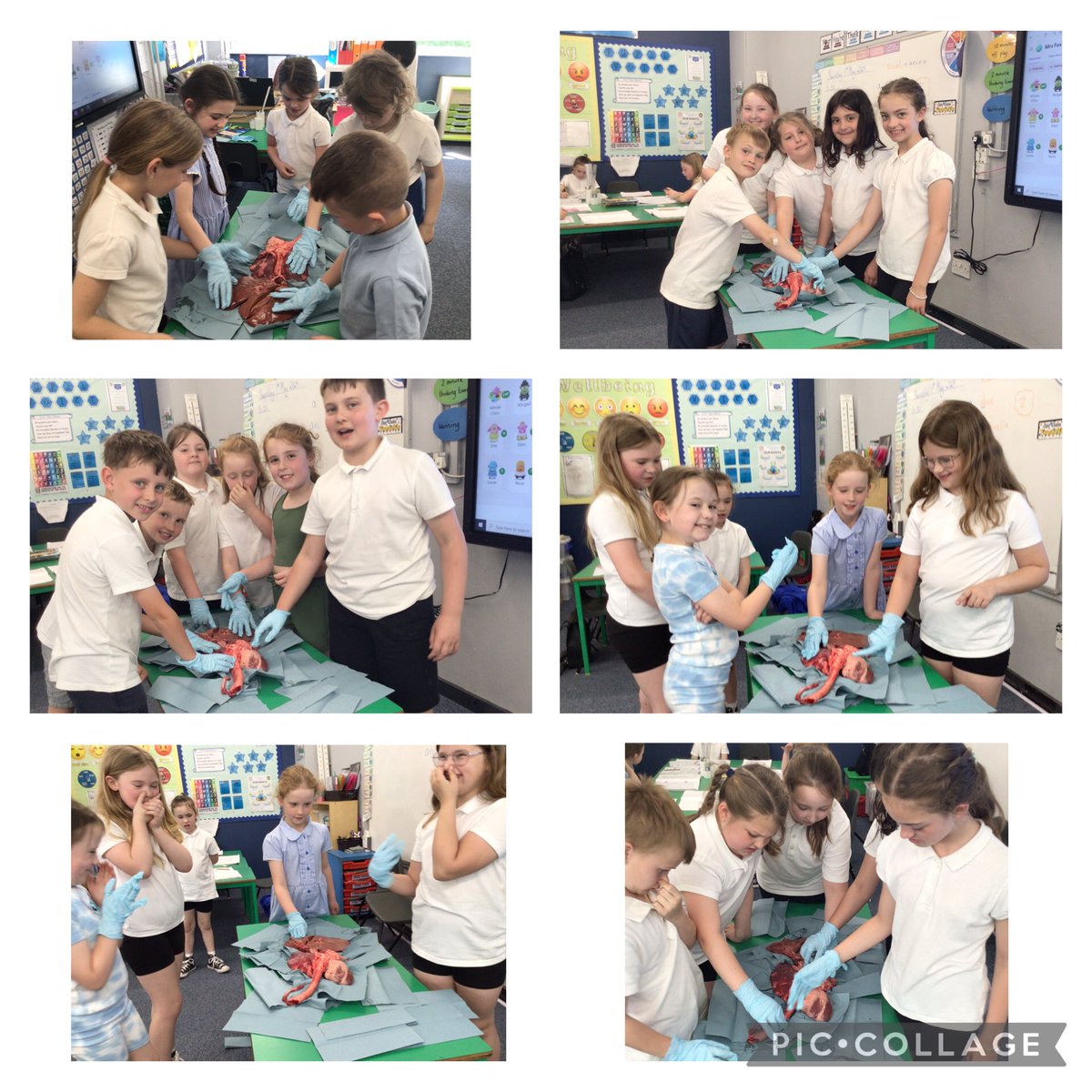 Year 3-4 had a great time during their Immersion Day, generating ideas for their new topic 🧐🤔