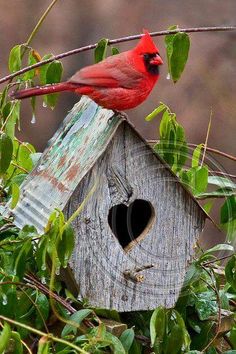 LindaMahkovec's tweet photo. AND SO WE DREAM - https://t.co/de6oBiwLUQ
$.99 in MAY #Goodreads #books #homemade #weekendreads #smalltown #sisters #Readingisbeautiful #BookLovers #LiteraturePosts #1970s #booklovers #bookclubs
"A heartfelt story of coming of age, ambitions, and the magic of summer." -Amazon https://t.co/8CWvFNxw5e