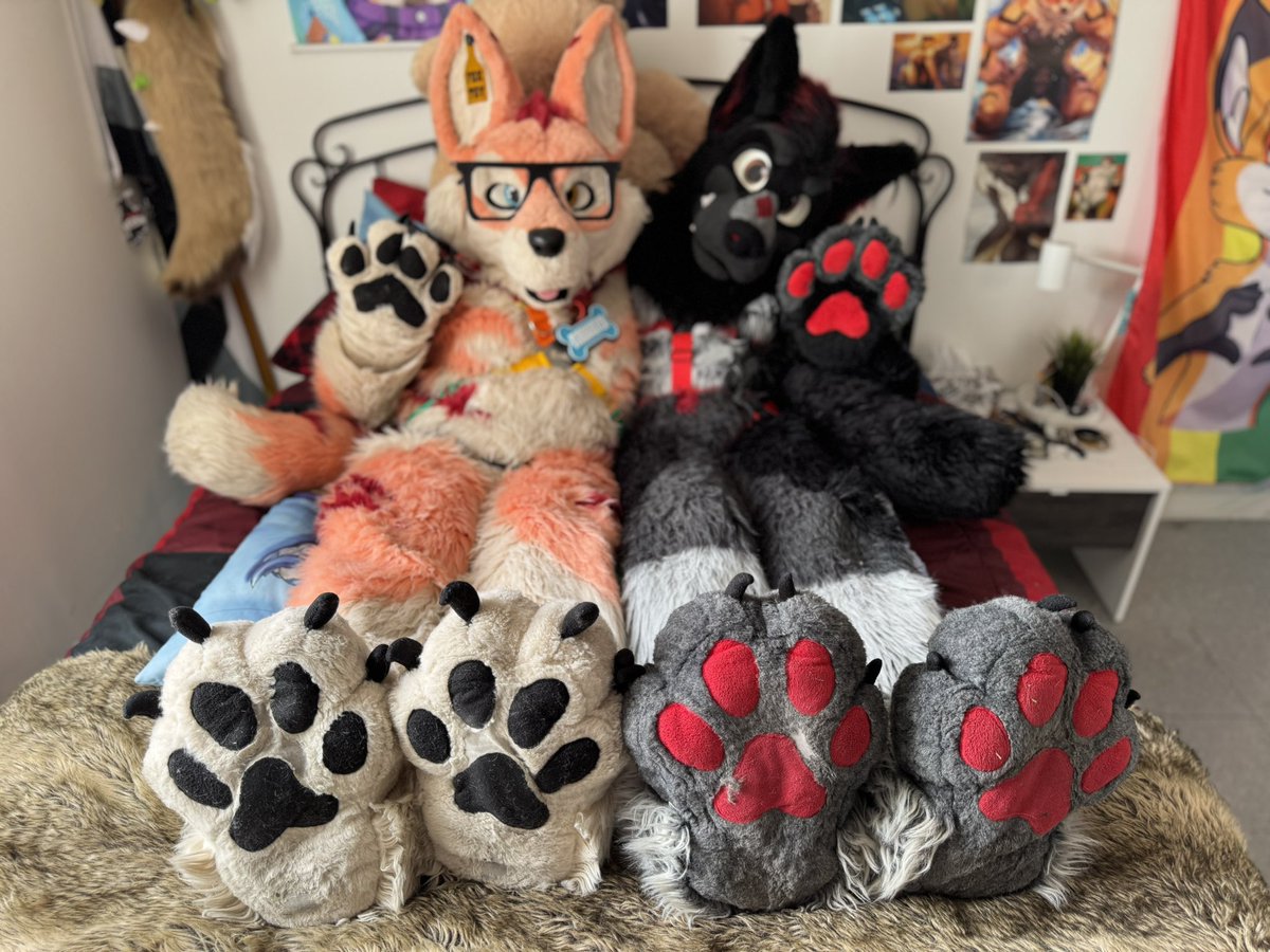 HAPPY FURSUIT FRIDAY !
❤️🐾❤️🐾❤️🐾❤️🐾❤️🐾

🐺:<a href="/Rororora111/">Koro</a> 
🎥:<a href="/SkywayWolf/">Skyway</a>

#furry #furries #fursuit #fursuiter #fox #fennecfox #foxtoy #cute #paws #furryfandom #furrycommunity #fursuitfriday #wolf #beans