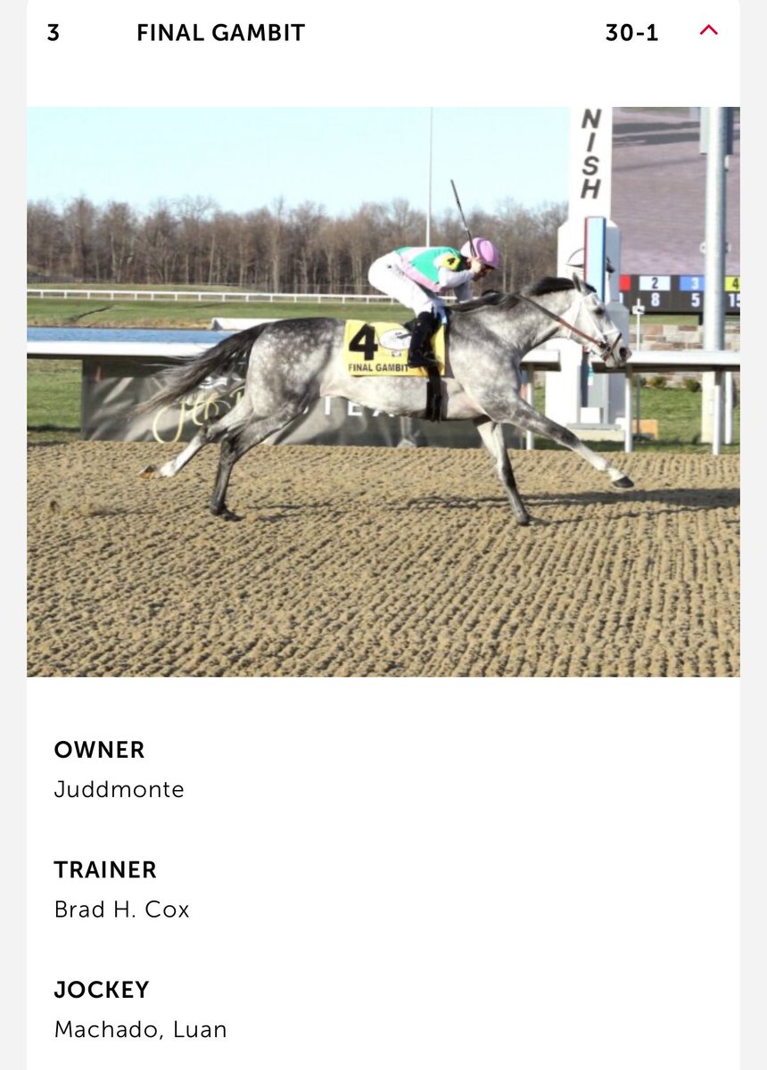 premiumtap's tweet image. رقم 18
#SOVEREIGNTY
جمع 110 نقاط 
بطل شوط Fountain of Youth قروب 2 ووصيف فلوريدا دربي 
انتصارين من 5 مشاركات 

يدربه William I. Mott حققه عام 2019 بواسطة الجواد Country House بعد استبعاد Maximum Security
خياله @jockeyfranco 
لم يتمكنا من تحقيقه

رقم 3 
 #FINALGAMBIT
جمع 100 نقطة…