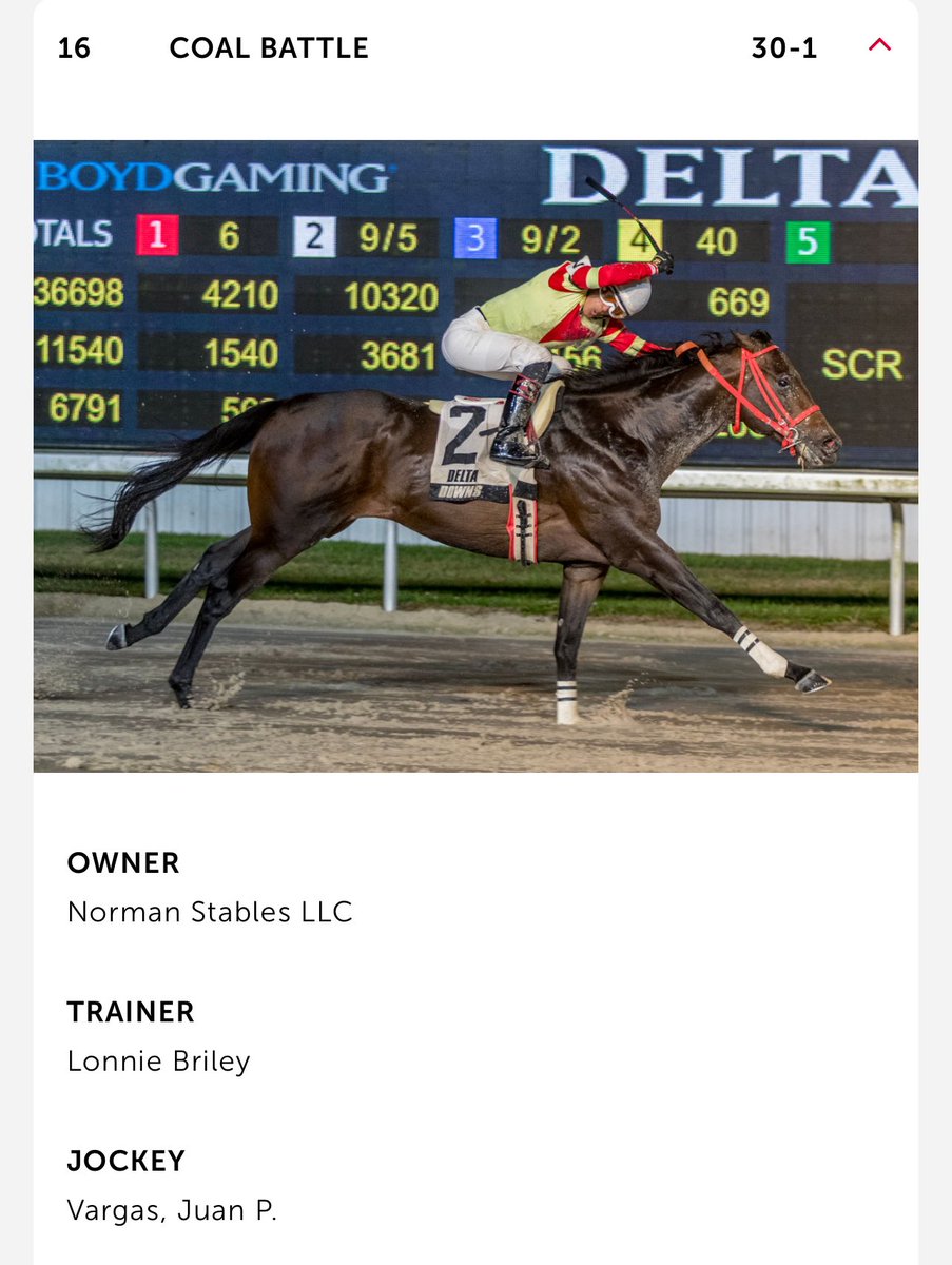 premiumtap's tweet image. رقم 18
#SOVEREIGNTY
جمع 110 نقاط 
بطل شوط Fountain of Youth قروب 2 ووصيف فلوريدا دربي 
انتصارين من 5 مشاركات 

يدربه William I. Mott حققه عام 2019 بواسطة الجواد Country House بعد استبعاد Maximum Security
خياله @jockeyfranco 
لم يتمكنا من تحقيقه

رقم 3 
 #FINALGAMBIT
جمع 100 نقطة…