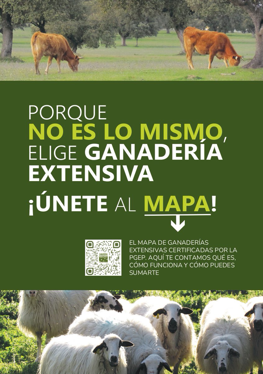 🔍 ¿Sabes qué diferencia a la #ganaderíaextensiva de la intensiva?

Queremos que tanto las administraciones como las personas consumidoras reconozcan su papel clave en la conservación del medio rural, la biodiversidad y los ecosistemas.

elige.ganaderiaextensiva.org
