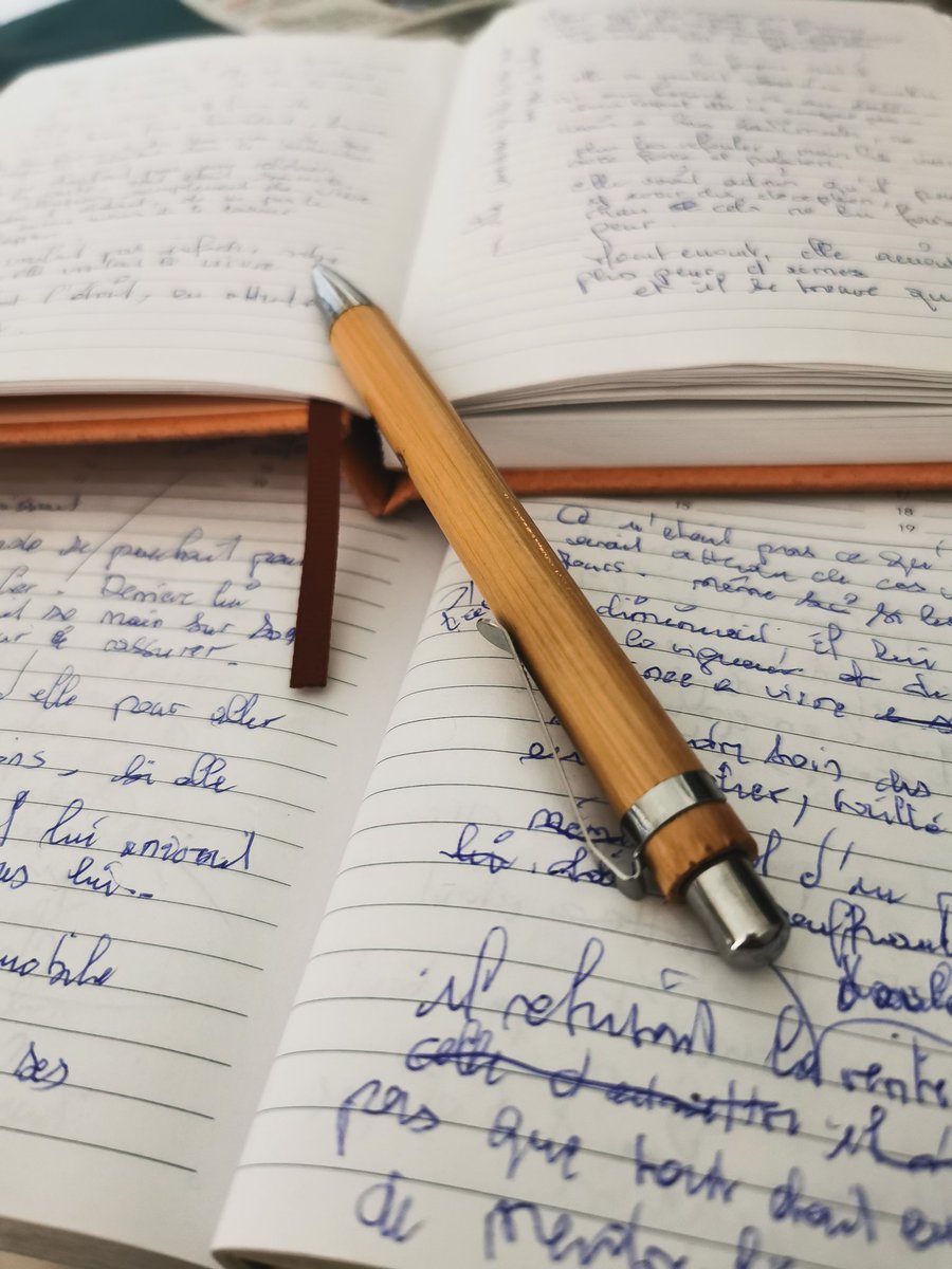 L'écriture de mon prochain roman a été un long chemin auquel je viens de mettre le point final. Je vais donc ranger mes carnets d'écriture et faire une pause nécessaire de quelques semaines avant une relecture attentive.