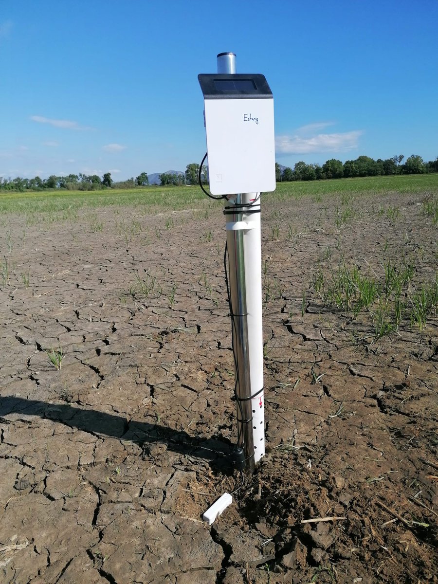 Rice sowing date is approaching!

Since salinity issues arised during recent draughts, we installed new sensors in critical points to monitor soil salinity and ponded water level to bettere manage irrigation.

Rice producers knowledge is key to address the situation 🧑‍🌾