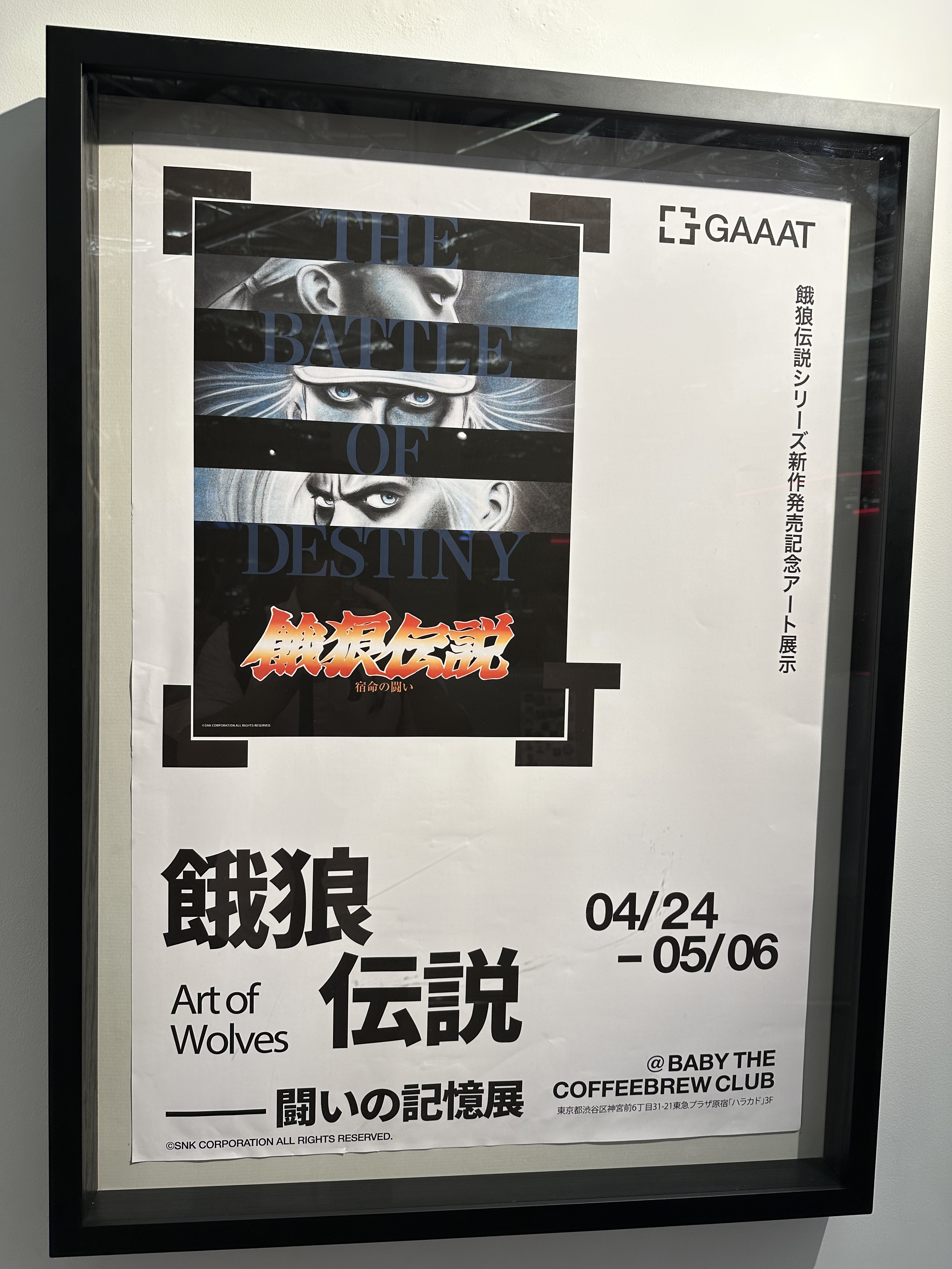 餓狼伝説 City of the Wolves (@GAROU_PR) / X