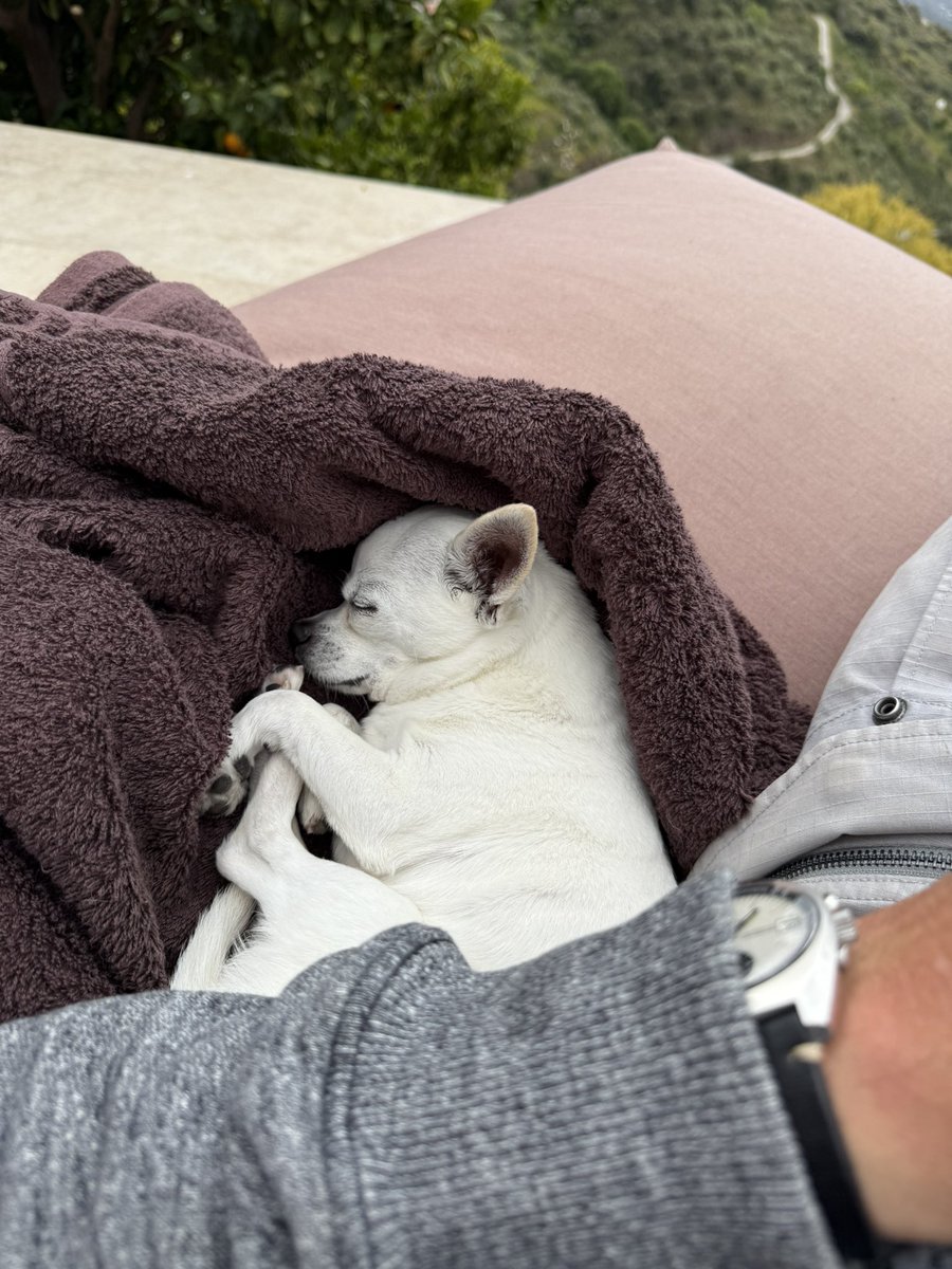 OrthopaeDenker tweet media