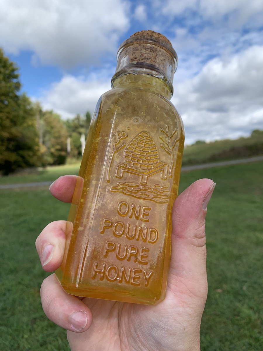 OldHollowTree's tweet image. Reminder: we are committed to using no plastic parts in any part of our hives or packaging when we begin selling honey this autumn. 

It’s surprisingly difficult and I am writing about it all on the link in my bio.