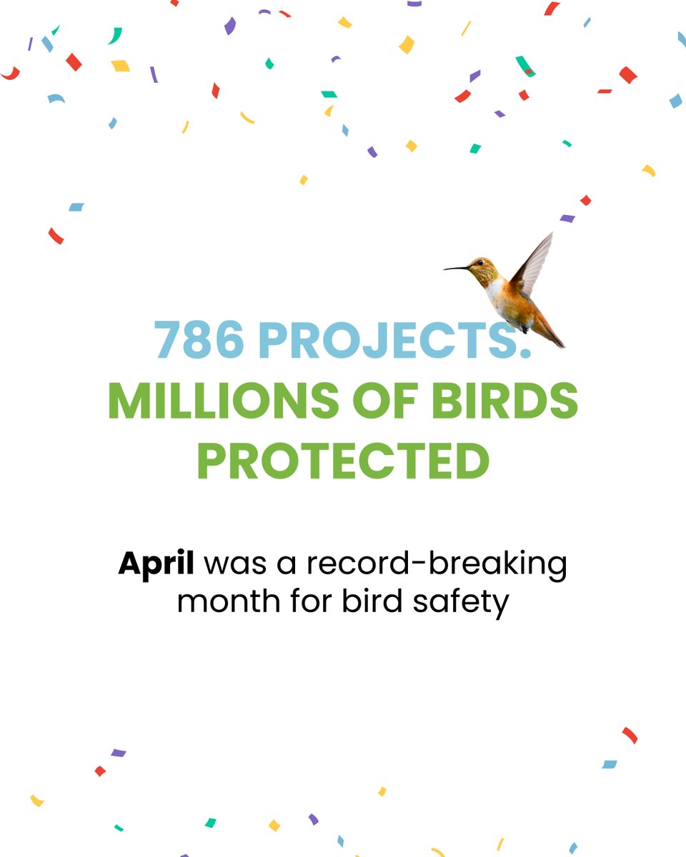FeatherFriendly's tweet image. This April, your voice for the birds was stronger than ever.

Together, we completed 786 bird-safe projects in a single month – a record-breaking achievement!

Thank you for standing with us, and for standing up for birds.

#record #savebirds #featherfriendly