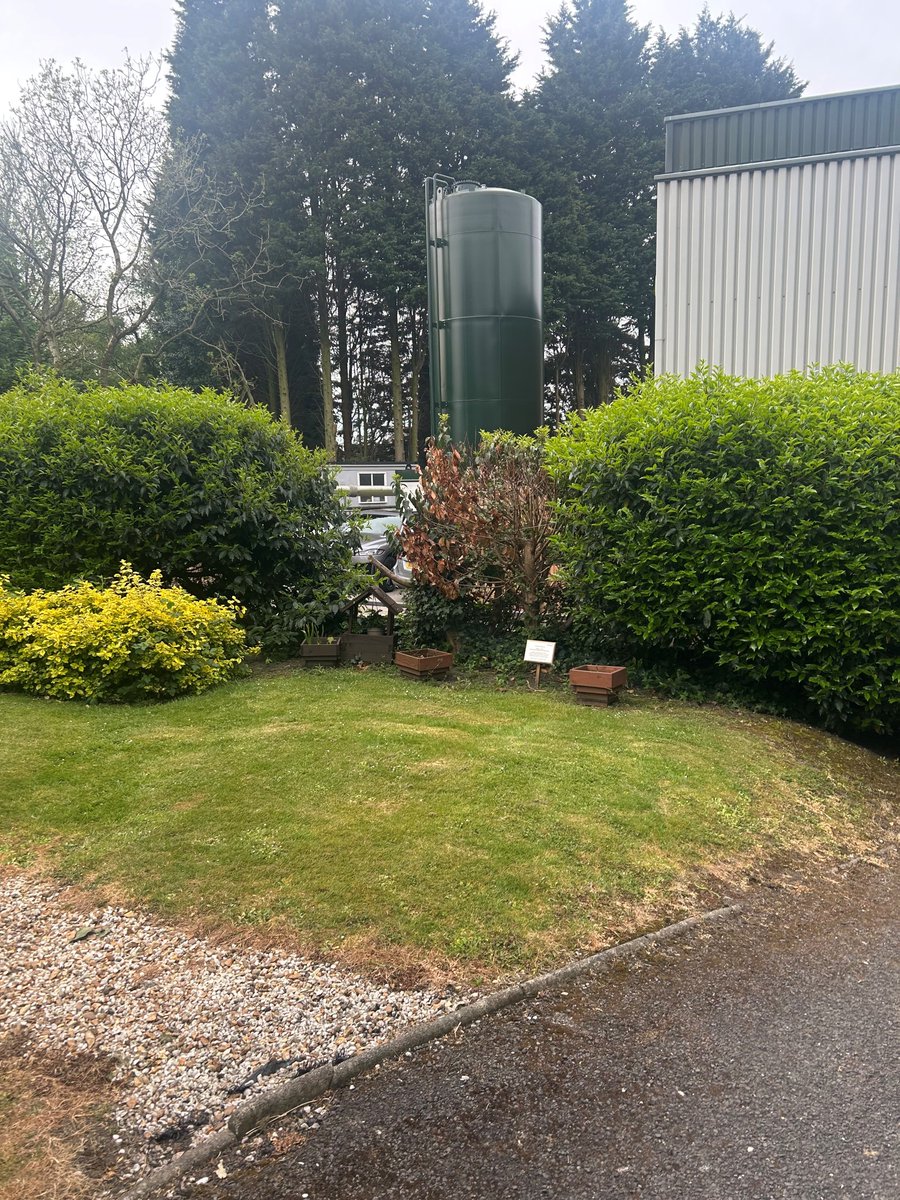 Michelle Campbell tweet media