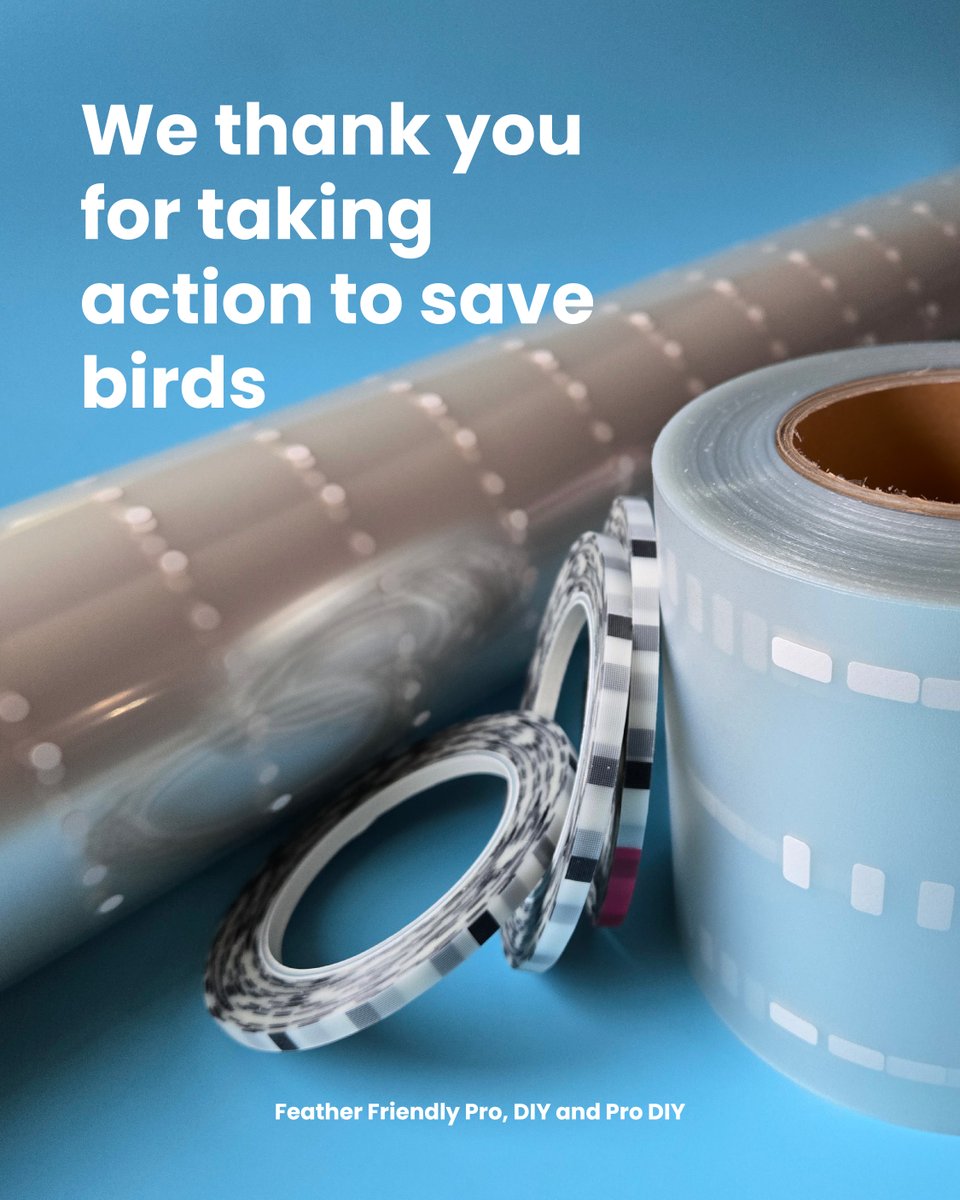 FeatherFriendly's tweet image. This April, your voice for the birds was stronger than ever.

Together, we completed 786 bird-safe projects in a single month – a record-breaking achievement!

Thank you for standing with us, and for standing up for birds.

#record #savebirds #featherfriendly