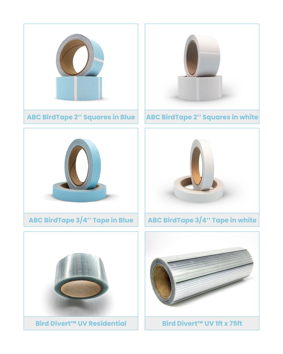 FeatherFriendly's tweet image. This April, your voice for the birds was stronger than ever.

Together, we completed 786 bird-safe projects in a single month – a record-breaking achievement!

Thank you for standing with us, and for standing up for birds.

#record #savebirds #featherfriendly