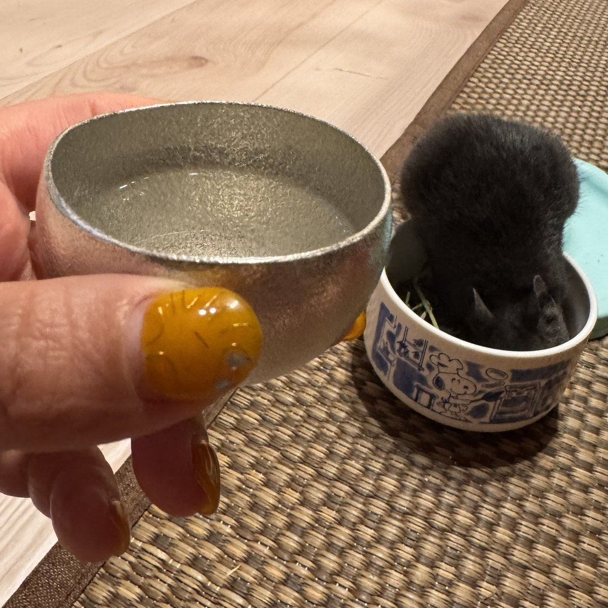 uri_degu's tweet photo. にに見酒🍶
（ござかじりマンなので見張り中）

先日、富山で買ってきた能作のスズおちょこで飲むと、おいしいお酒がさらにおいしく感じる♡底が丸くて、ゆらゆらしてるのに、ひっくり返らない不思議なぐい呑み。

しあわせ😋

#福小町
#バタフライエフェクト
#能作
#yure https://t.co/GmgxCCzzJT