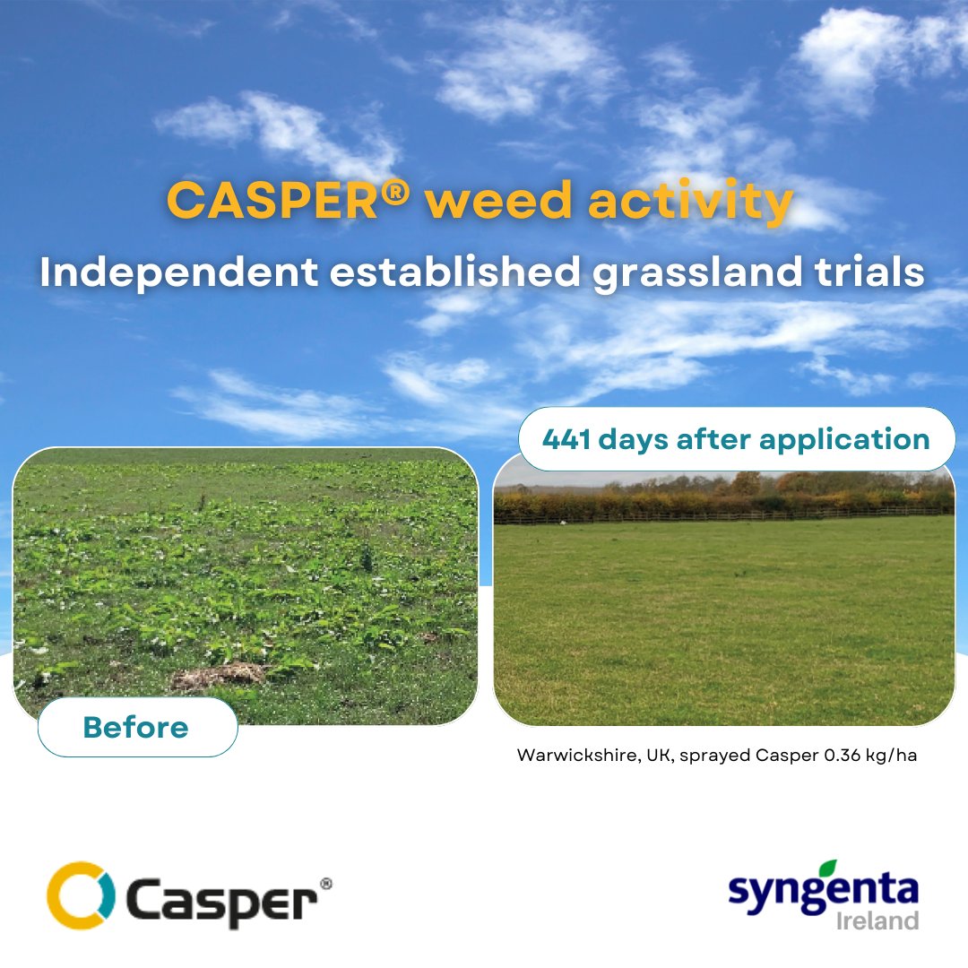 SyngentaIrl's tweet photo. Impressive results from using CASPER® on an independent established grassland trial. 👏

🎯For application advice and more product information, click here👉 https://t.co/gY3Hswr8DL

#Tillage #Grassland #WeedControl https://t.co/s0Ejr5T160