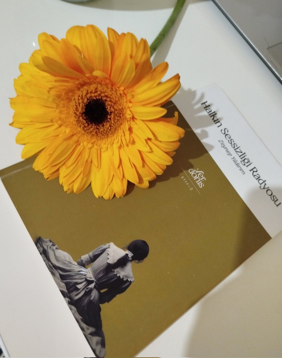 Dünyayı nasıl bilirdin? 
Sokaklar bilge, Allah Kerim. 

Halkın Sessizliği Radyosu, Zeynep Yıldırım

"Halkın Sessizliği Radyosu" İkinci şiir kitabımı okumak isteyen, sipariş vermek isteyenler kitapyurdundan sipariş edebilirsiniz.👇

kitapyurdu.com/kitap/halkin-s…