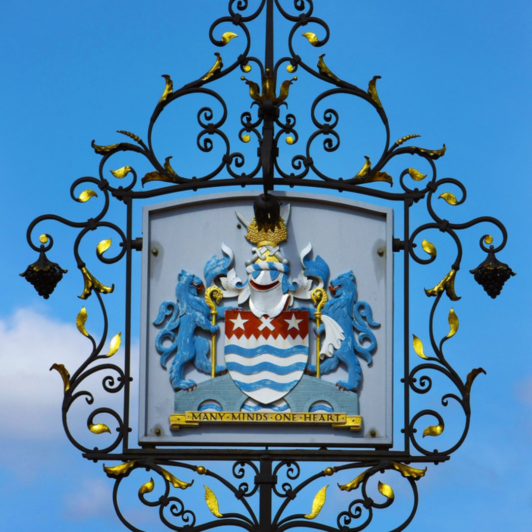 Chelmsford Business tweet media