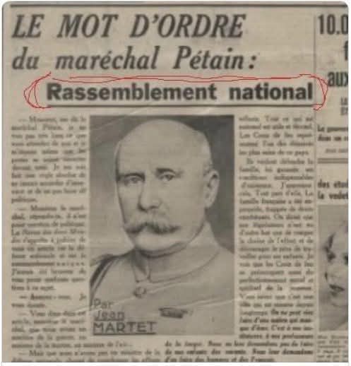 Paul Dohen 🐢🔺🍉 tweet media