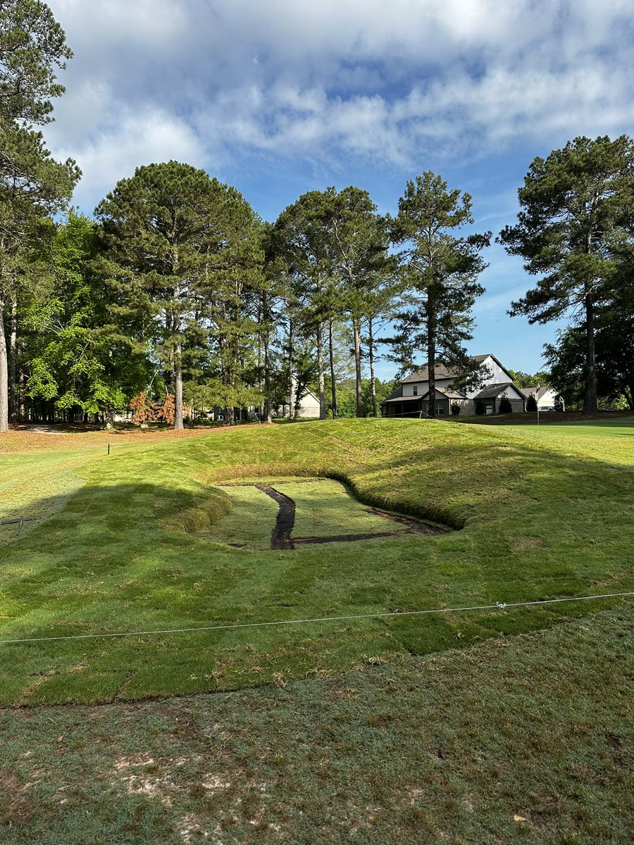 Georgia Riley tweet media