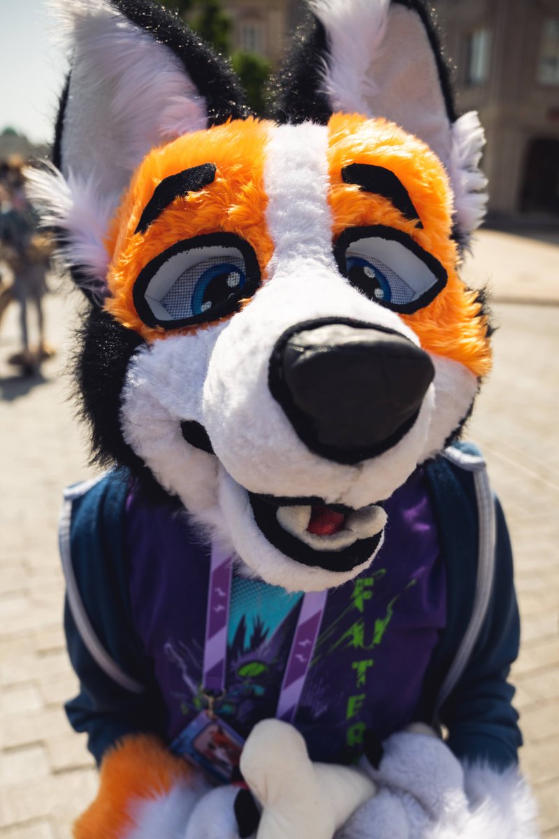Boooooop! 🐶
Jak tam leci majówka? 

📸: Bartor
#furry #fursuit #wfw23 #fursuitwalk